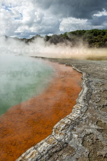 Champagne Pool