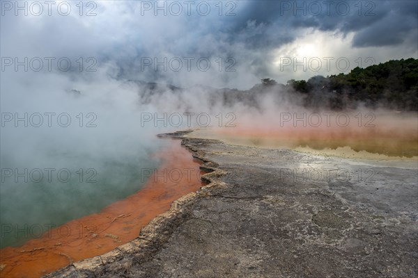 Champagne Pool