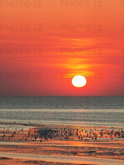 Orange-red sunset over the North Sea