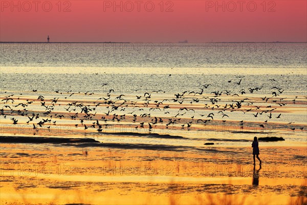 Orange-red sunset over the North Sea