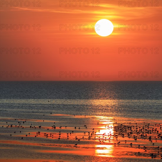 Orange-red sunset over the North Sea