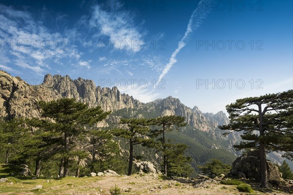 Mountain massif with rocky peaks and pines