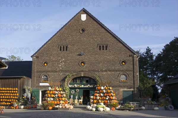 Pumpkins for sale