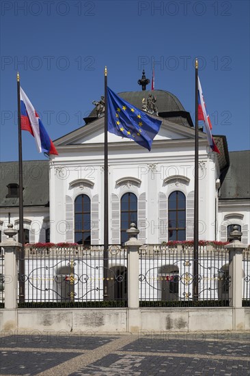European flag in front of the presidential palace