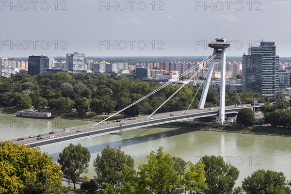 SNP Bridge