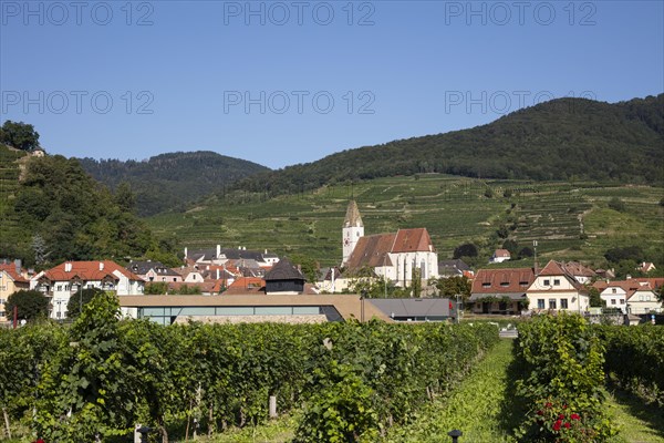 View of Spitz an der Donau