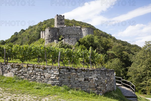 Hinterhaus castle ruins