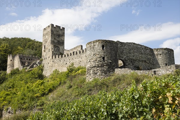 Hinterhaus castle ruins