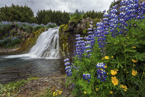 Fossarett waterfall with river Fossa at fjord Hvalfjorour