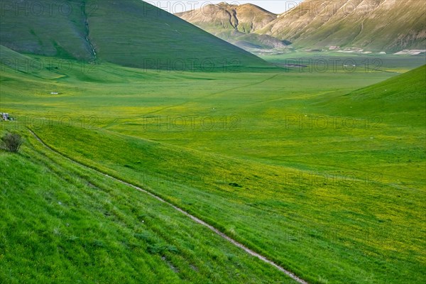 Hiking trail through countryside