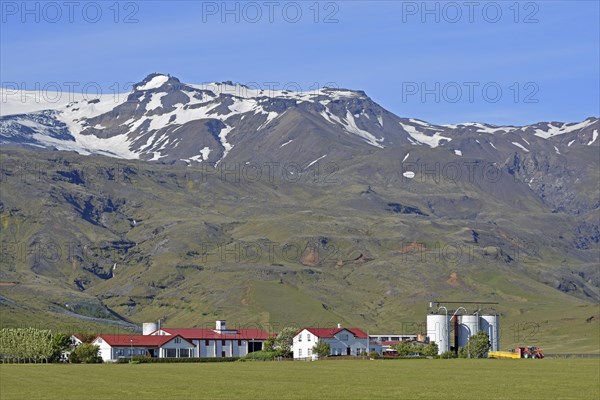 Farm located at the foot of a mountain in the middle of green meadows below the glaciated Eyjafjallajokull Volcano