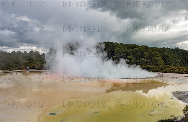 Steaming Champagne Pool