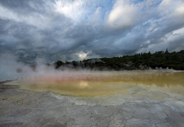 Steaming Champagne Pool