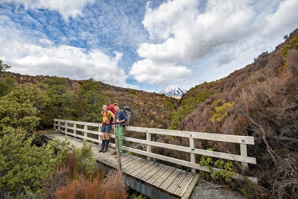 Hikers on bridge