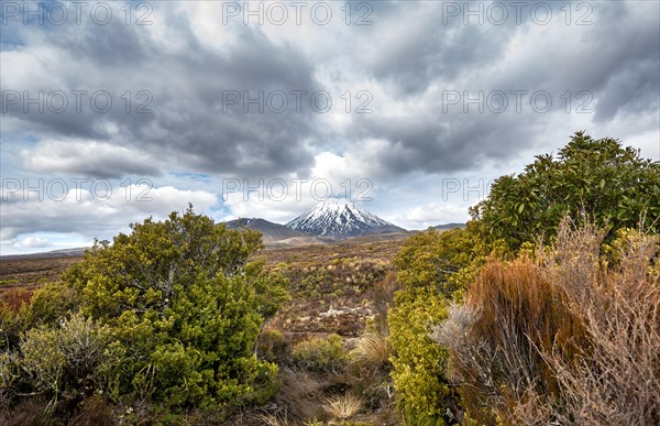 Volcano Mount Tongariro and Mount Ngauruhoe