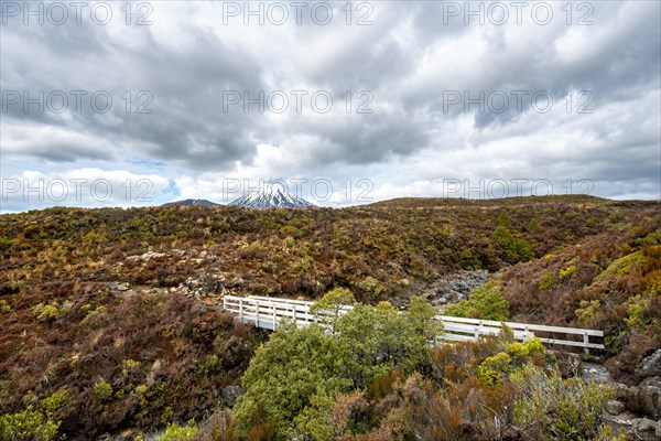 Bridge at Tongariro Northern Circuit
