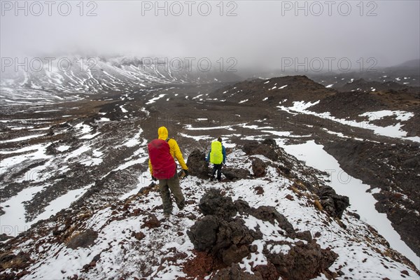 Hikers on hiking trail Tongariro Alpine Crossing in snow over lava fields