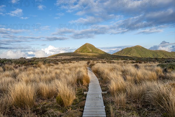 Hiking trail through grassland