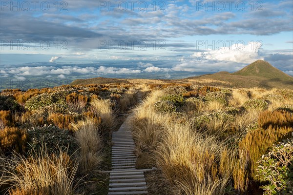 Hiking trail through grassland