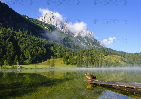 Lake Ferchensee and Wettersteinspitze