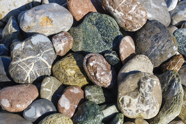 Coloured pebbles on gravel bank in Isarauen