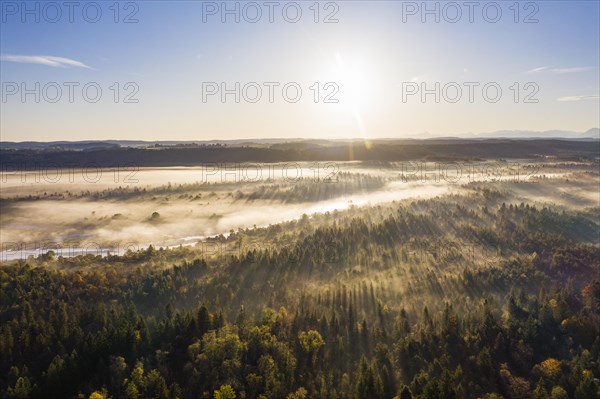 Isar in the Pupplinger Au at sunrise