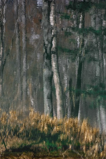 Water reflection
