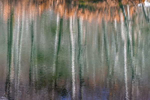 Water reflection