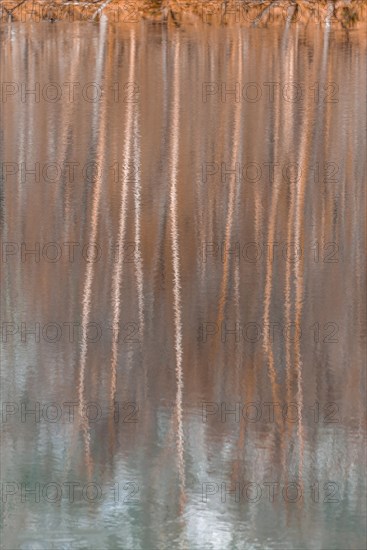 Water reflection