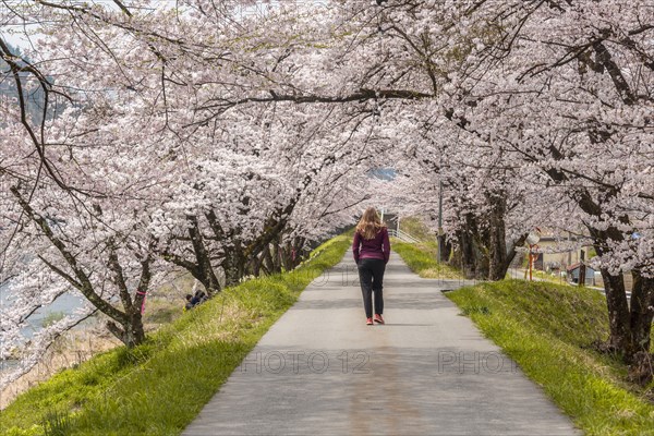 Woman on a path