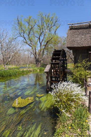 Water mill on a river