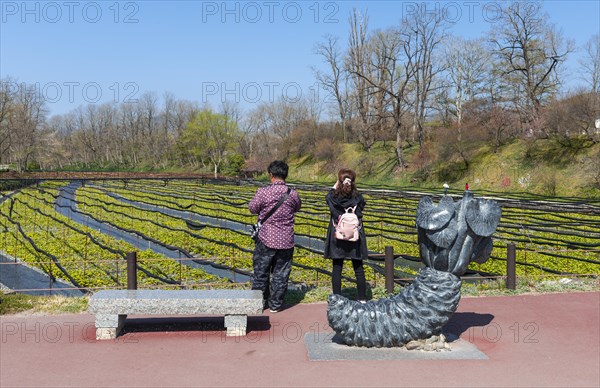 Tourists stand in front of field