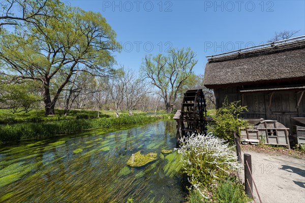 Water mill on a river
