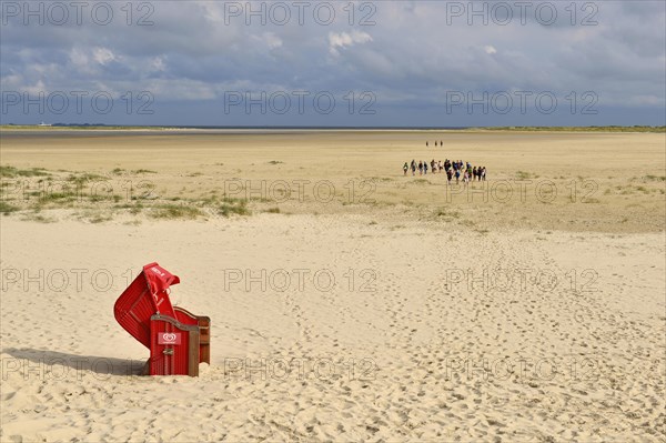 Wadden walker on the sand of the Kniephaken