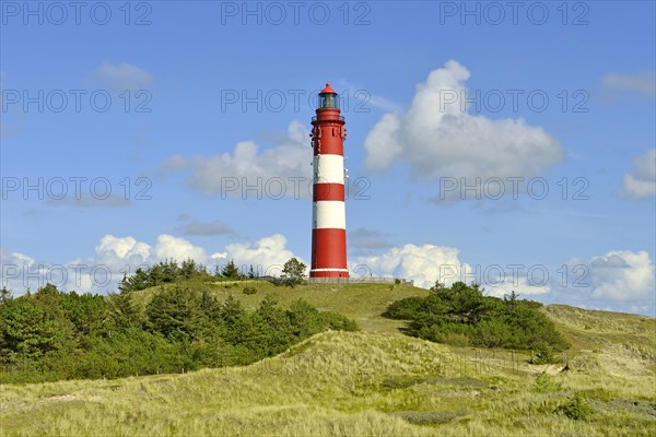 Lighthouse Amrum on large dune