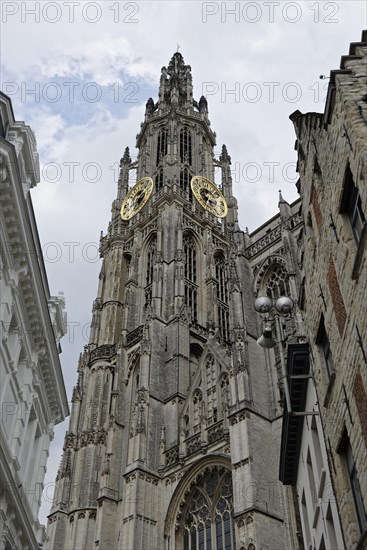Cathedral of Our Lady
