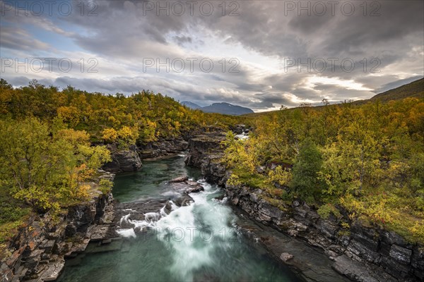 Autumnal Abisko canyon