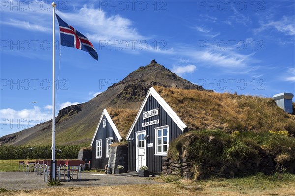 Wooden houses