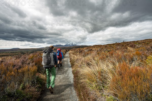 Hikers on hiking trail Tongariro Northern Circuit