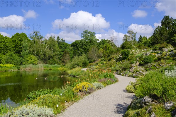 Alpinum and Great Pond