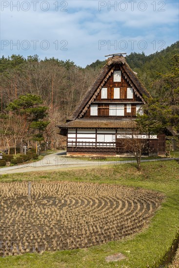 Round rice field with farmhouse