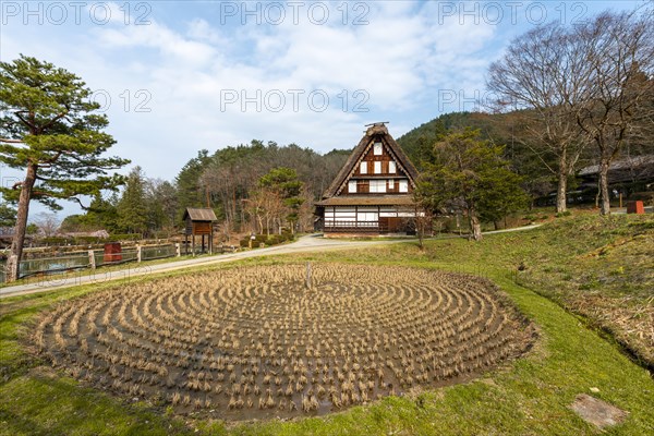 Round rice field with farmhouse