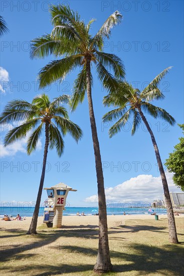 Kuhio Beach