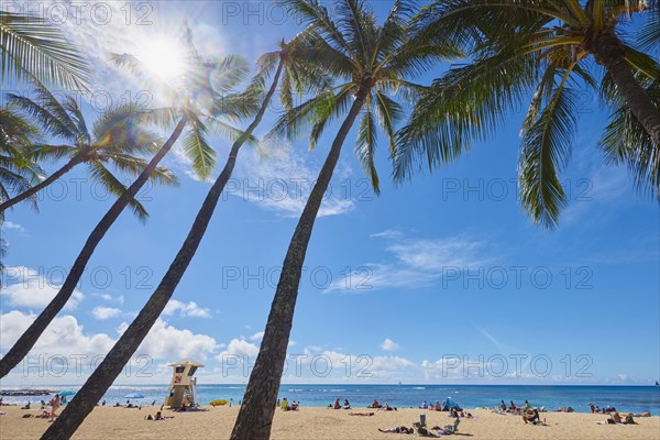 LKuhio Beach