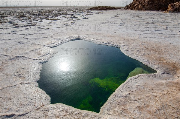 Waterhole in the salt flat