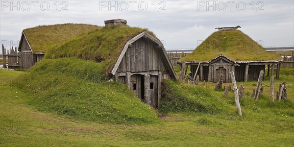 Viking village