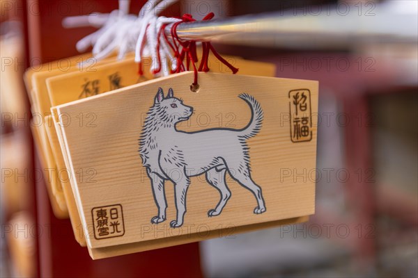 Painted white dog on small wooden boards