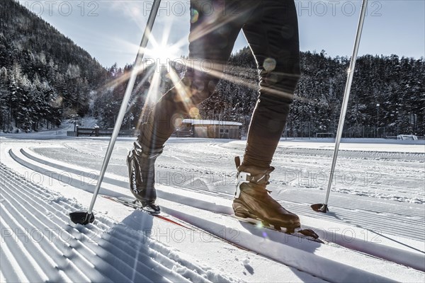 Cross-country skiing in winter