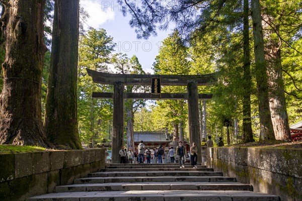 Torii Gate