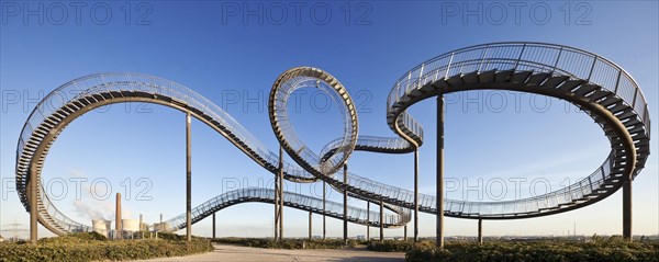 Tiger and Turtle